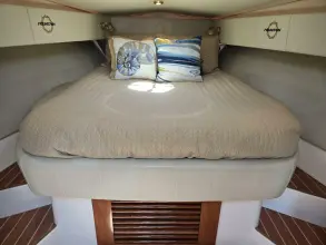 Thumbnail von Fountain 38 Express Cruiser