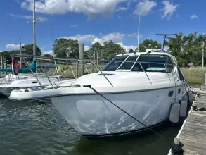 Thumbnail von Tiara Yachts 3500 Sovran