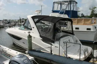 Thumbnail von Sea Ray Sundancer 310
