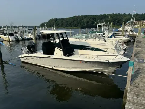 Boston Whaler 250 Dauntless