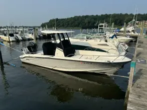 Boston Whaler 250 Dauntless