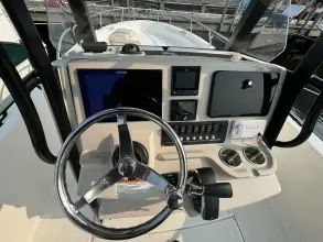 Thumbnail von Boston Whaler 250 Dauntless