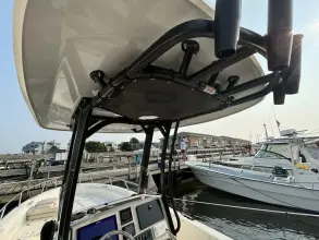Thumbnail von Boston Whaler 250 Dauntless