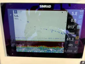 Thumbnail von Boston Whaler 250 Dauntless