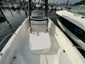 Thumbnail von Boston Whaler 250 Dauntless
