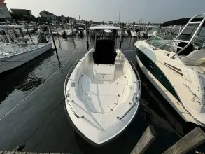Thumbnail von Boston Whaler 250 Dauntless