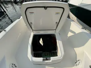 Thumbnail von Boston Whaler 250 Dauntless