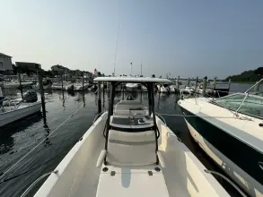 Thumbnail von Boston Whaler 250 Dauntless
