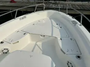 Thumbnail von Boston Whaler 250 Dauntless