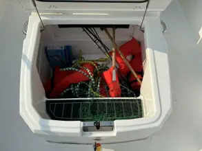 Thumbnail von Boston Whaler 250 Dauntless