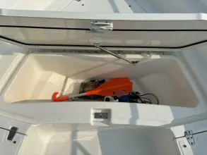Thumbnail von Boston Whaler 250 Dauntless