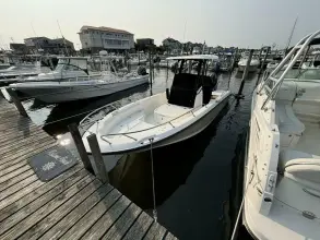 Thumbnail von Boston Whaler 250 Dauntless