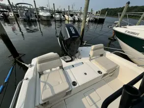 Thumbnail von Boston Whaler 250 Dauntless
