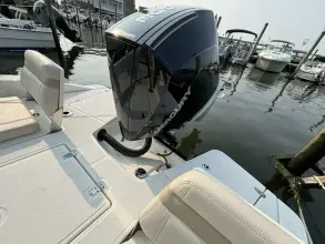 Thumbnail von Boston Whaler 250 Dauntless