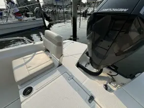 Thumbnail von Boston Whaler 250 Dauntless