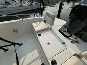 Thumbnail von Boston Whaler 250 Dauntless