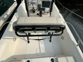 Thumbnail von Boston Whaler 250 Dauntless