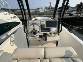 Thumbnail von Boston Whaler 250 Dauntless