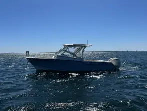 Thumbnail von Grady White Freedom 275