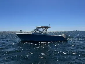 Thumbnail von Grady White Freedom 275