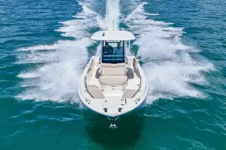 Thumbnail von Boston Whaler 280 Dauntless