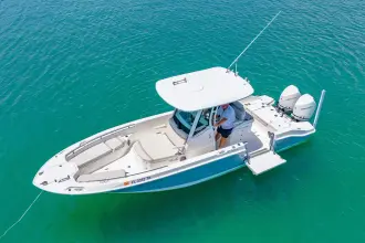 Thumbnail von Boston Whaler 280 Dauntless