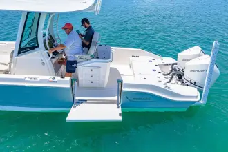 Thumbnail von Boston Whaler 280 Dauntless