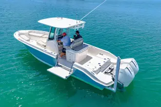 Thumbnail von Boston Whaler 280 Dauntless