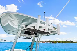 Thumbnail von Boston Whaler 280 Dauntless