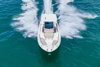 Thumbnail von Boston Whaler 280 Dauntless