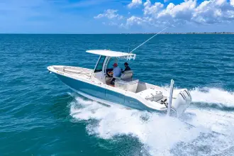 Thumbnail von Boston Whaler 280 Dauntless