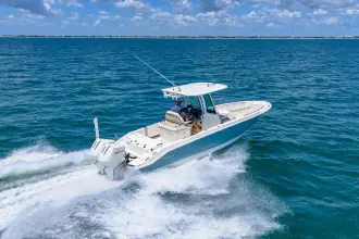 Thumbnail von Boston Whaler 280 Dauntless