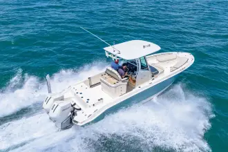 Thumbnail von Boston Whaler 280 Dauntless