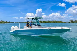 Thumbnail von Boston Whaler 280 Dauntless