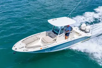 Thumbnail von Boston Whaler 280 Dauntless