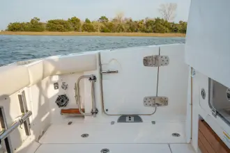 Thumbnail von Boston Whaler 350 Realm