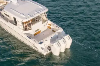 Thumbnail von Boston Whaler 350 Realm