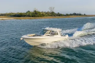 Thumbnail von Boston Whaler 350 Realm