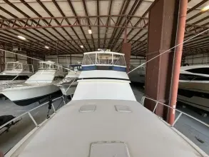 Thumbnail von Viking 45 Convertible