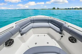 Thumbnail von Boston Whaler 330 Outrage