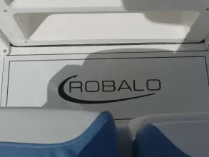 Thumbnail von Robalo 246 Cayman