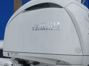 Thumbnail von Robalo 246 Cayman