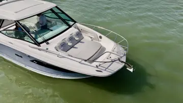 Thumbnail von Sea Ray 320 Sundancer Outboard