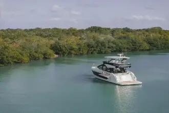 Thumbnail von Cruisers Yachts 57 FLY