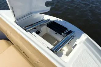 Thumbnail von Sea Ray SDX 250 Outboard
