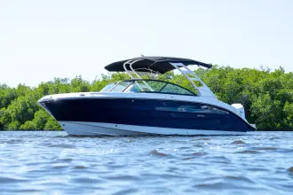 Thumbnail von Sea Ray SDX 250 Outboard