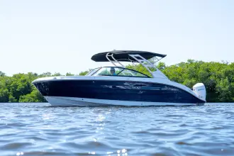 Thumbnail von Sea Ray SDX 250 Outboard