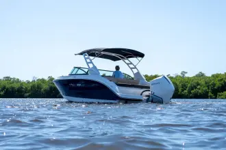 Thumbnail von Sea Ray SDX 250 Outboard