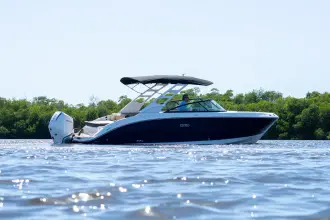 Thumbnail von Sea Ray SDX 250 Outboard