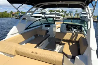 Thumbnail von Sea Ray SDX 250 Outboard